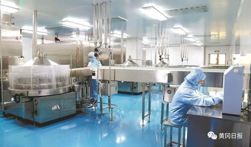 對標先進 破冰突圍 宜昌化工產(chǎn)業(yè)轉(zhuǎn)型升級的破局之路